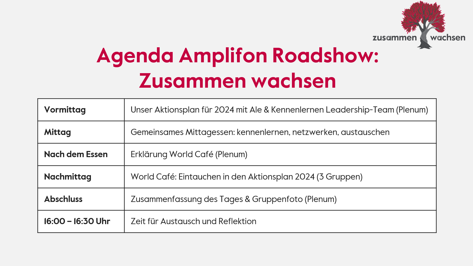 Amplifon Roadshow 2024